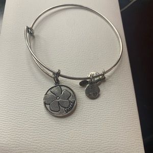 Alex and Ani Friend Bangle